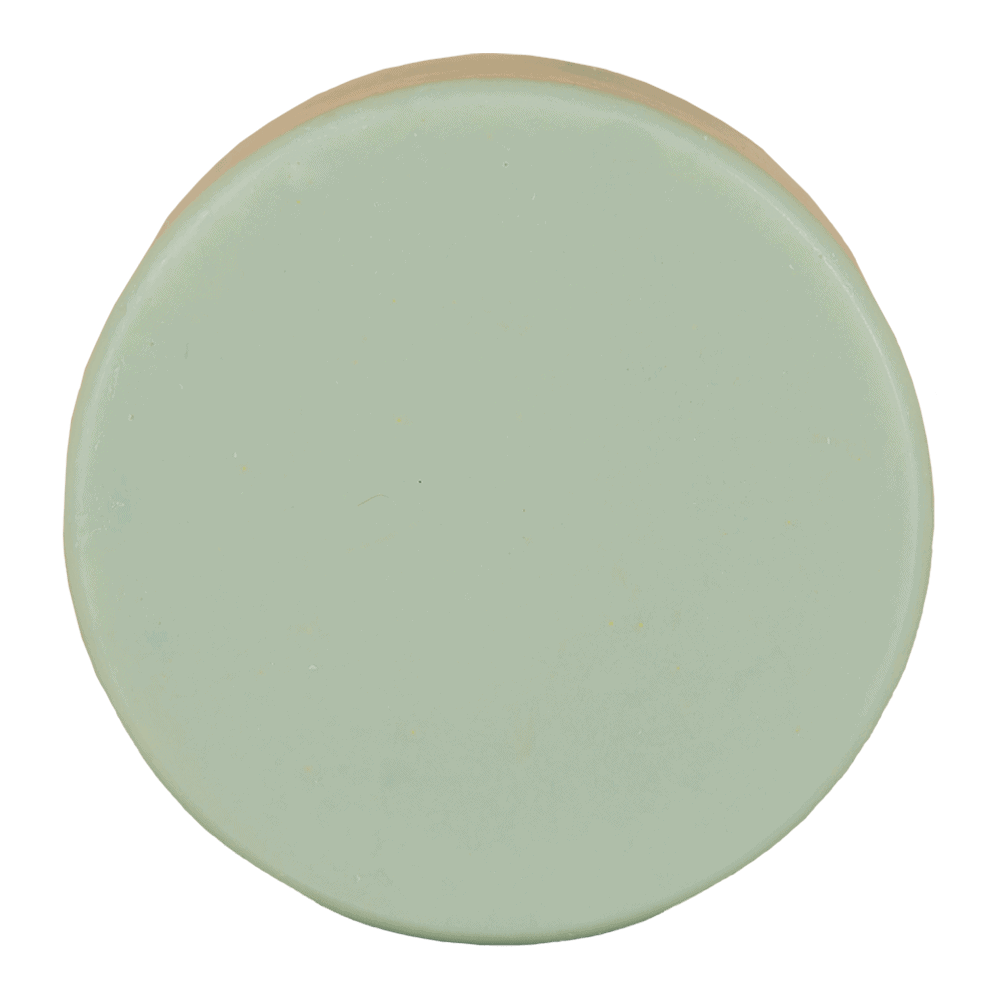 Conditioner Bar - Aloë Vera Love