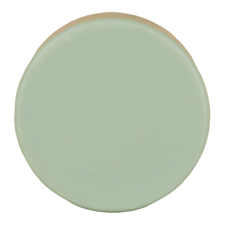 Conditioner Bar - Aloë Vera Love