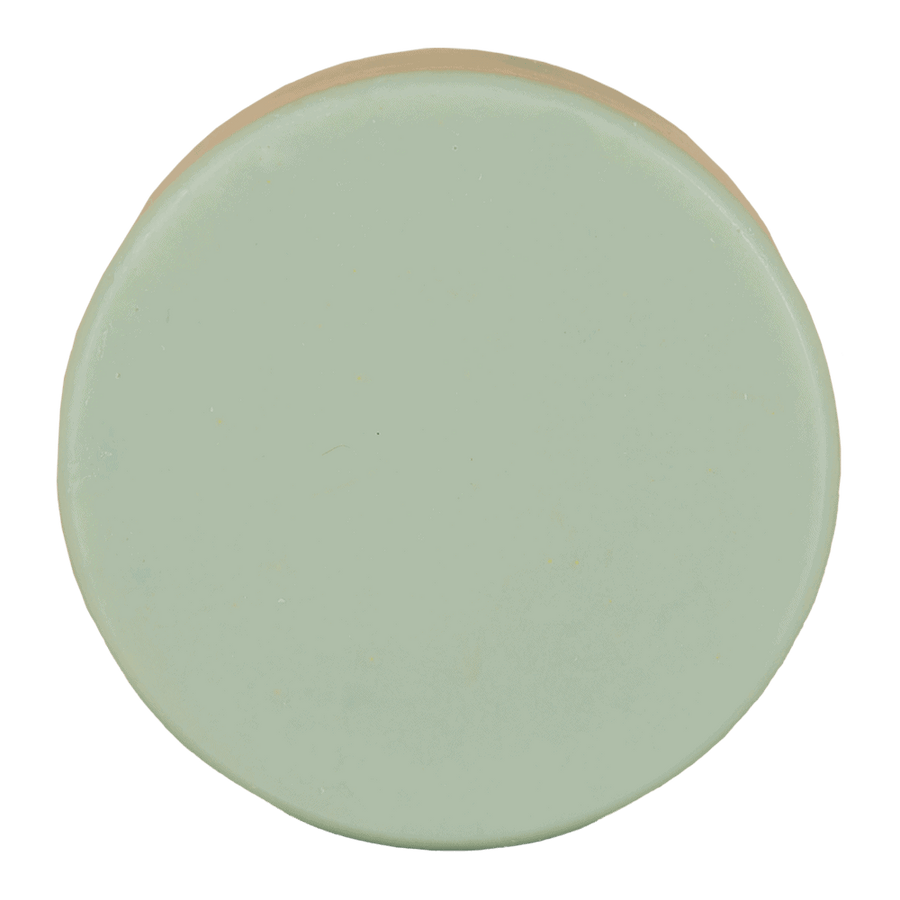 Conditioner Bar - Aloë Vera Love